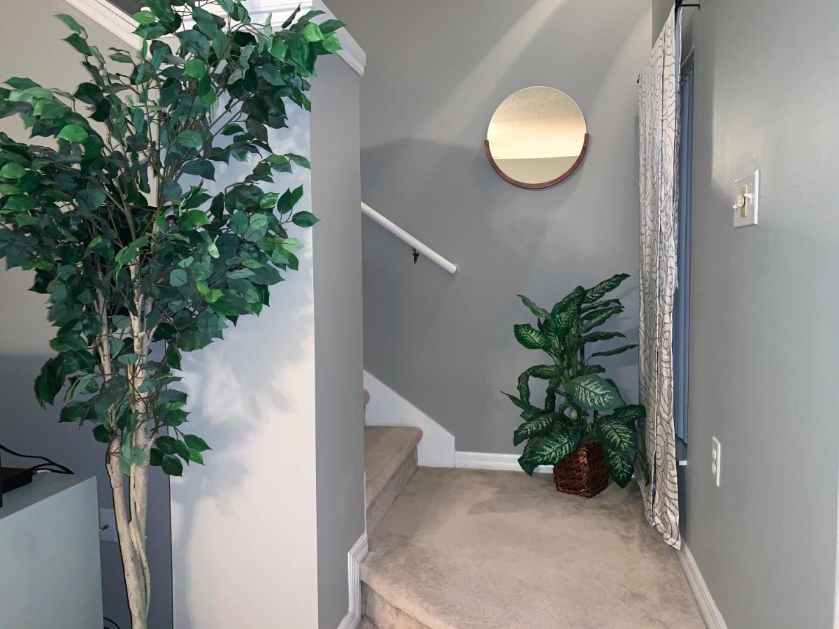 Terra Verde Vacation Rentals Kissimmee Eksteriør billede